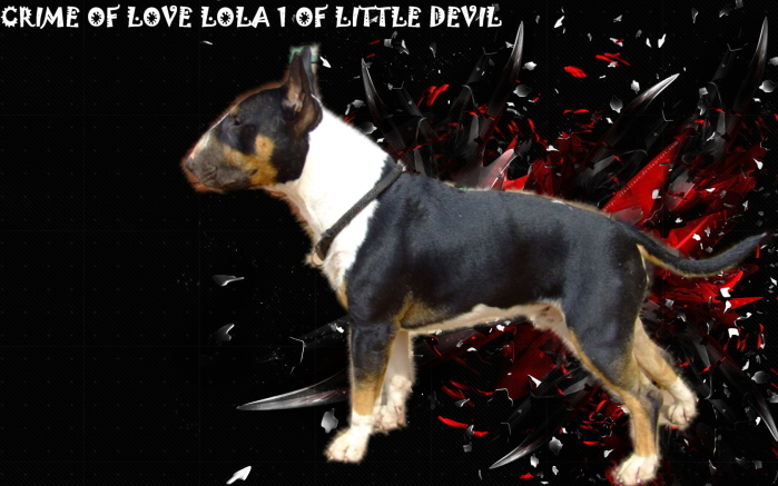 Crime of love lola 1 of Little Devil