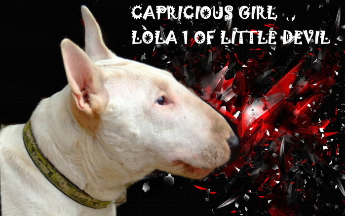 Capricious girl lola 1 of Little Devil